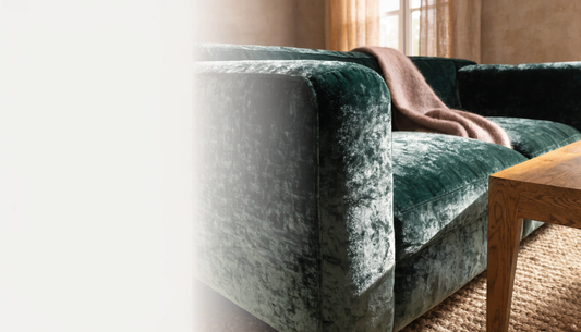 Velvet 101: How to Care for Velvet (Complete Care Guide)
