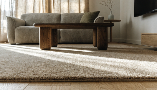 Rug Placement in a Living Room With a TV: Sizes and Layouts