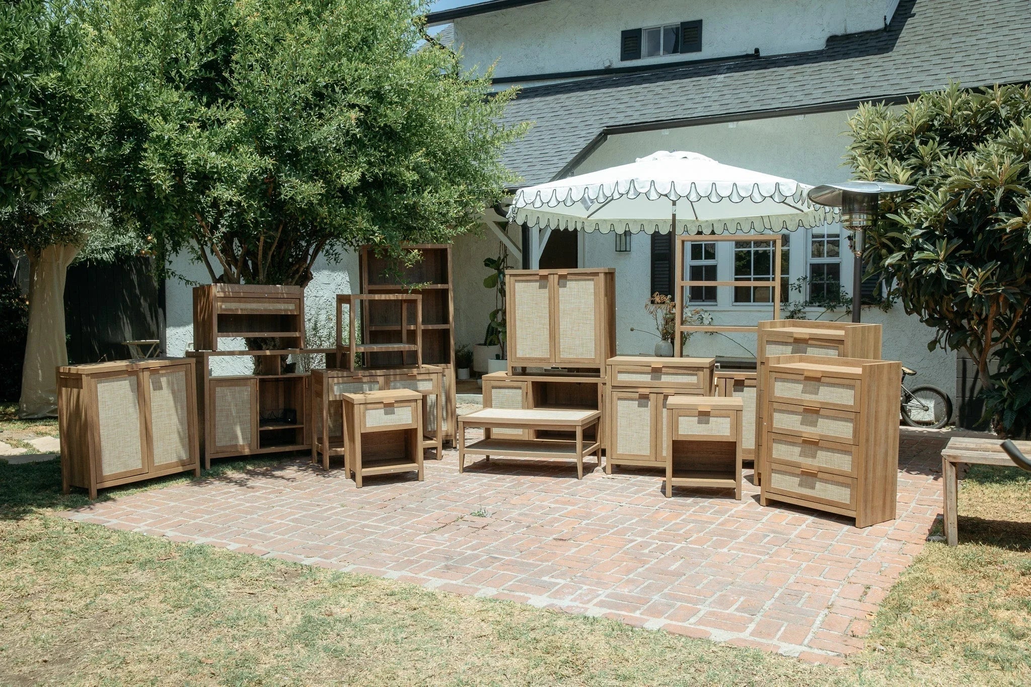 SICOTAS Savanna Collection