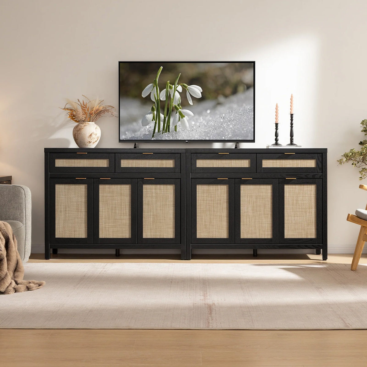Savanna TV Console with Storage, Set of 2