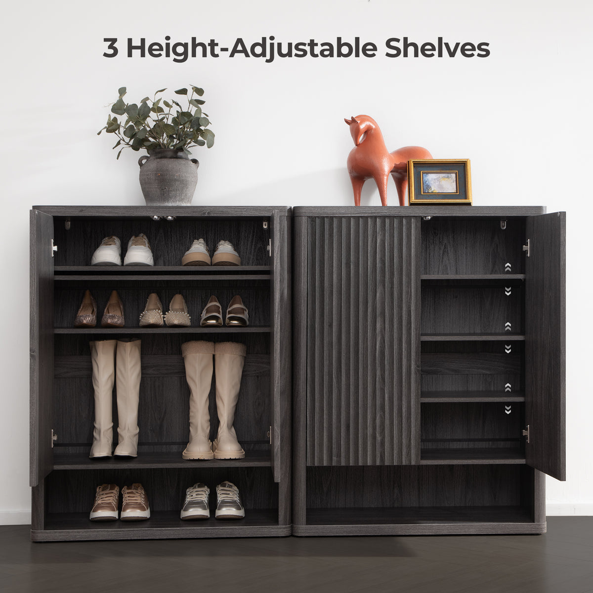 Cas Black Shoe Cabinet Entryway