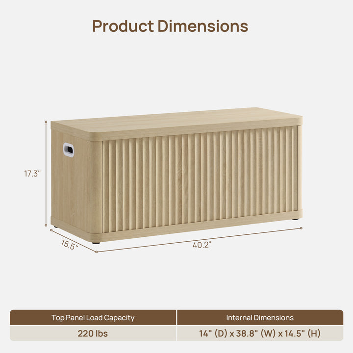 Cas Storage Shoe Bench with Flip-Top Lid