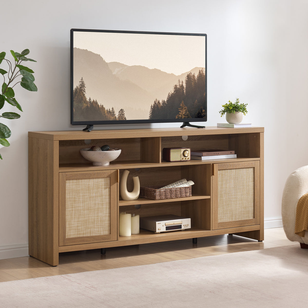 Savanna 65Inch TV Console with Cable Management