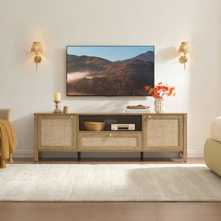 Terra TV Console with Cable Management