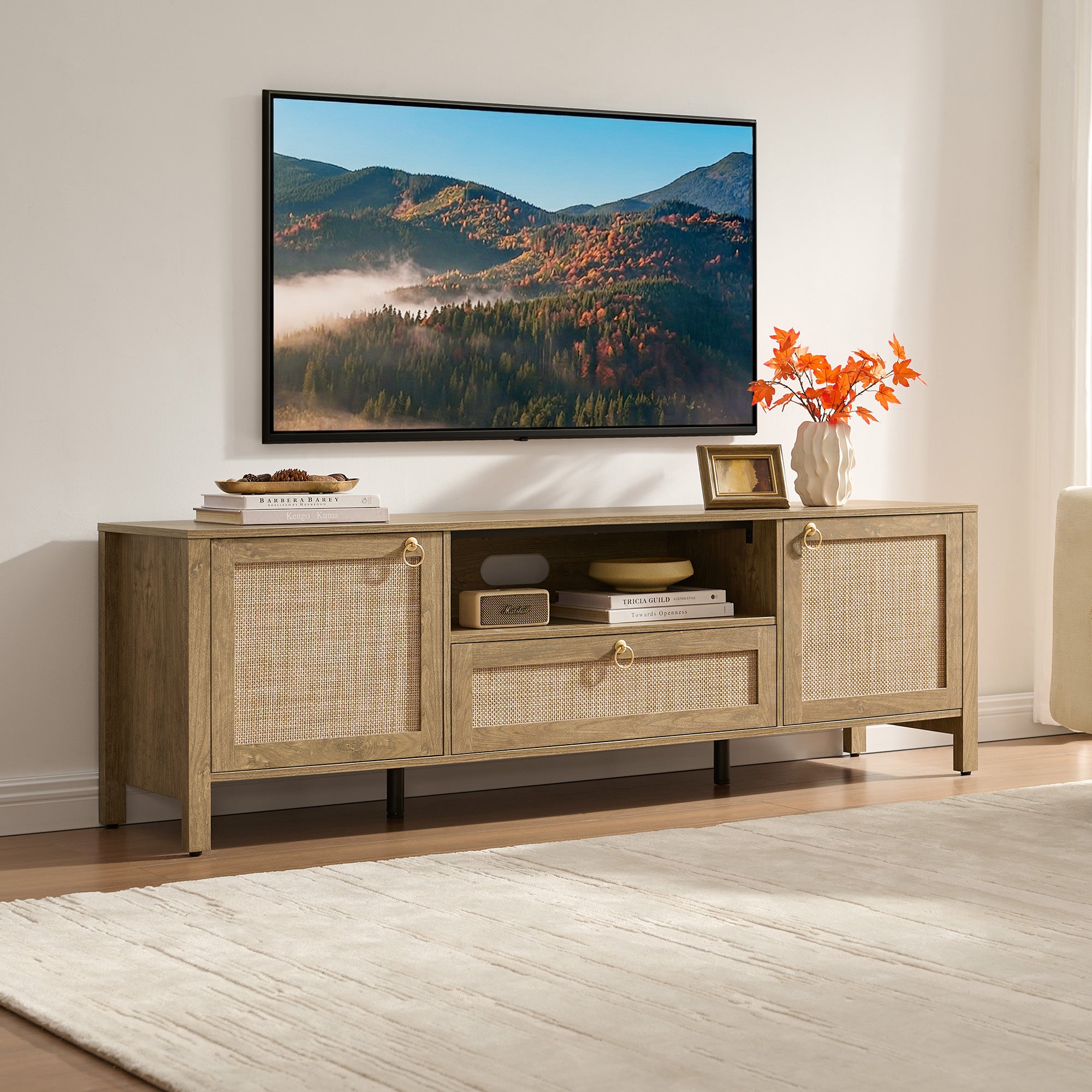 Terra TV Console with Cable Management