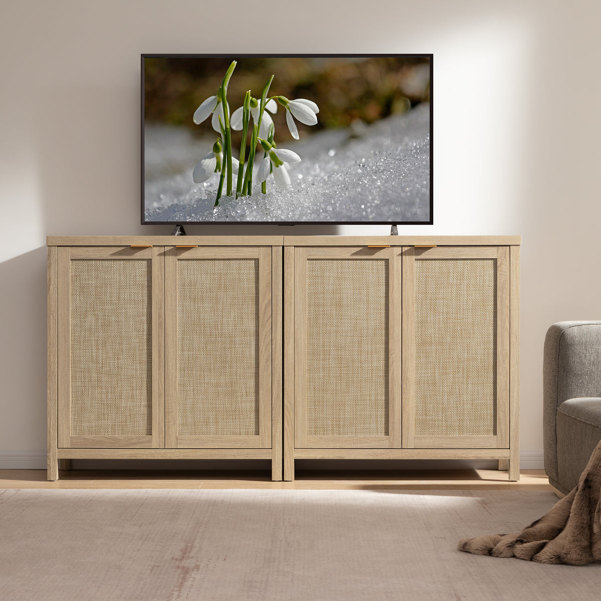 Savanna TV Console with Doors