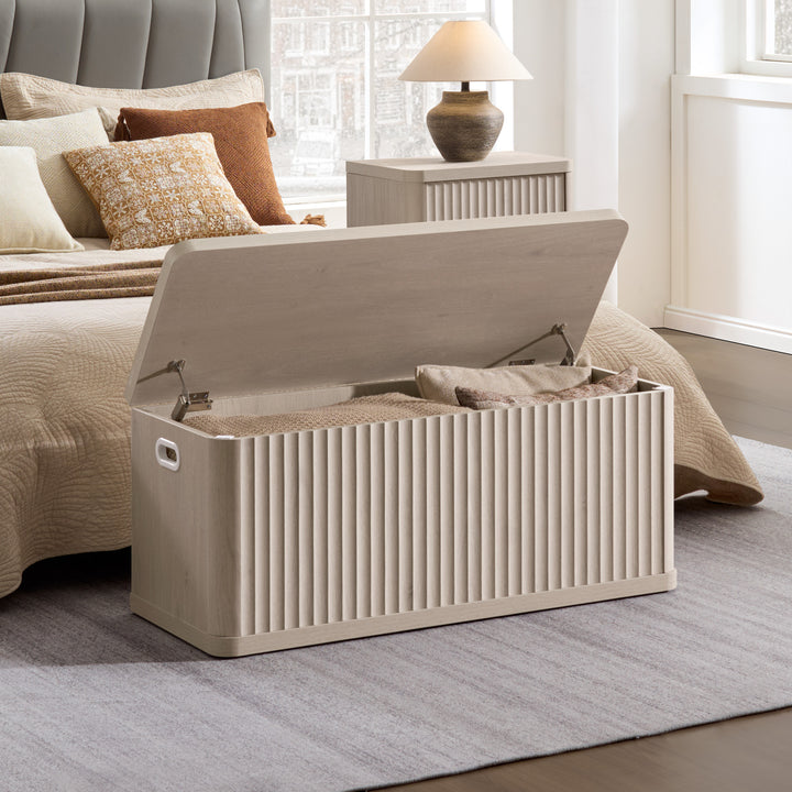 Cas Storage Shoe Bench with Flip-Top Lid