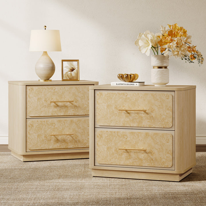Burluxe Modern Nightstand with 2 Drawers, Set of 2
