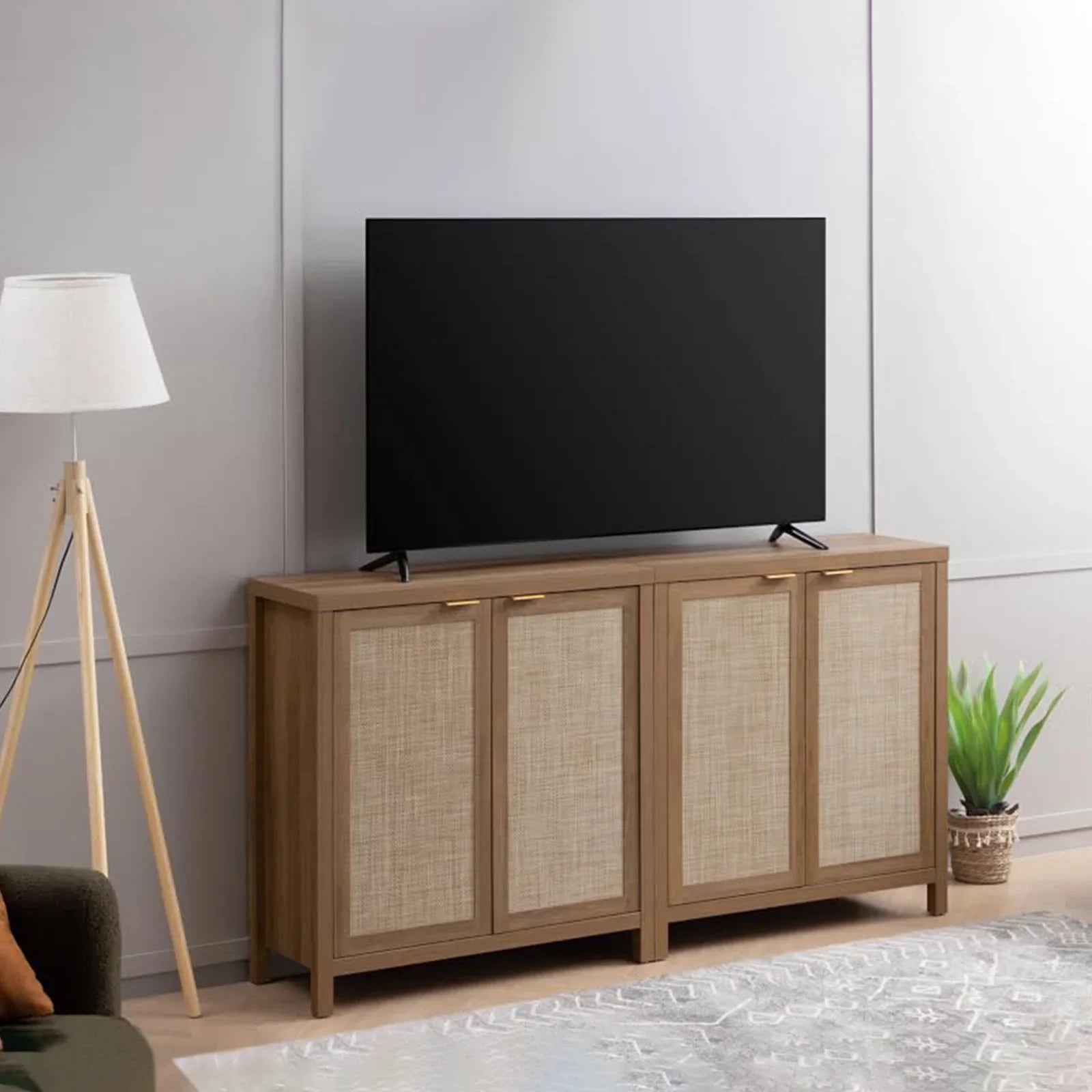 Savanna TV Console with Doors