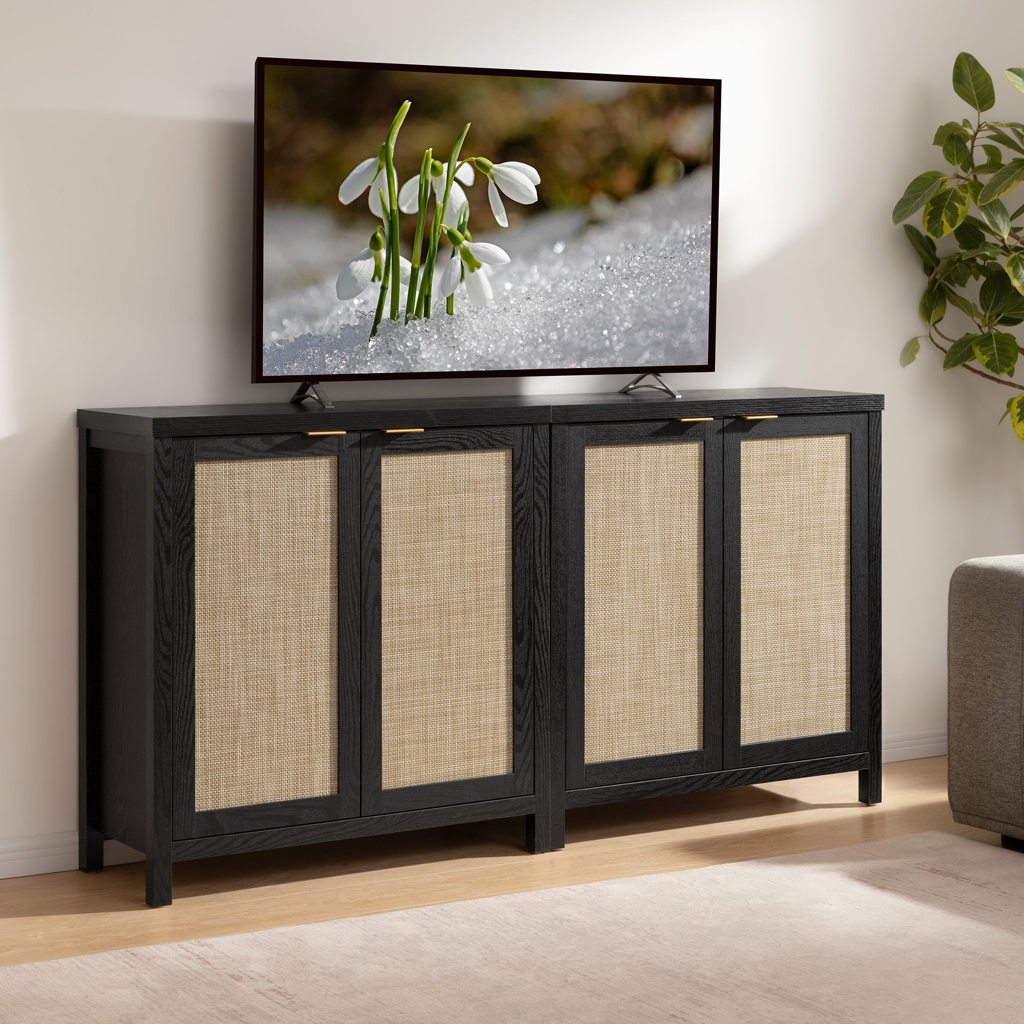Savanna TV Console with Doors