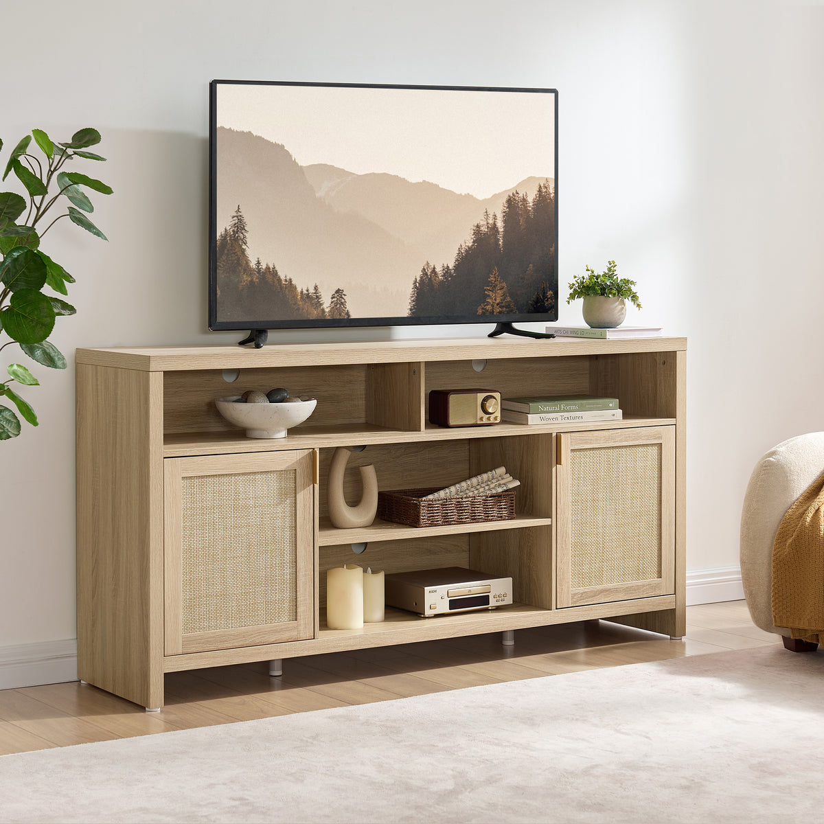 Savanna 65Inch TV Console with Cable Management
