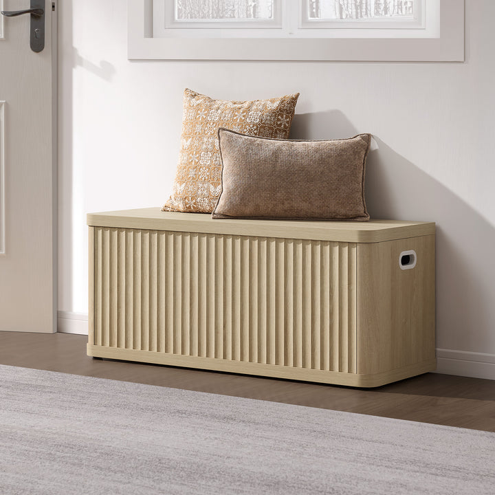 Cas Storage Shoe Bench with Flip-Top Lid