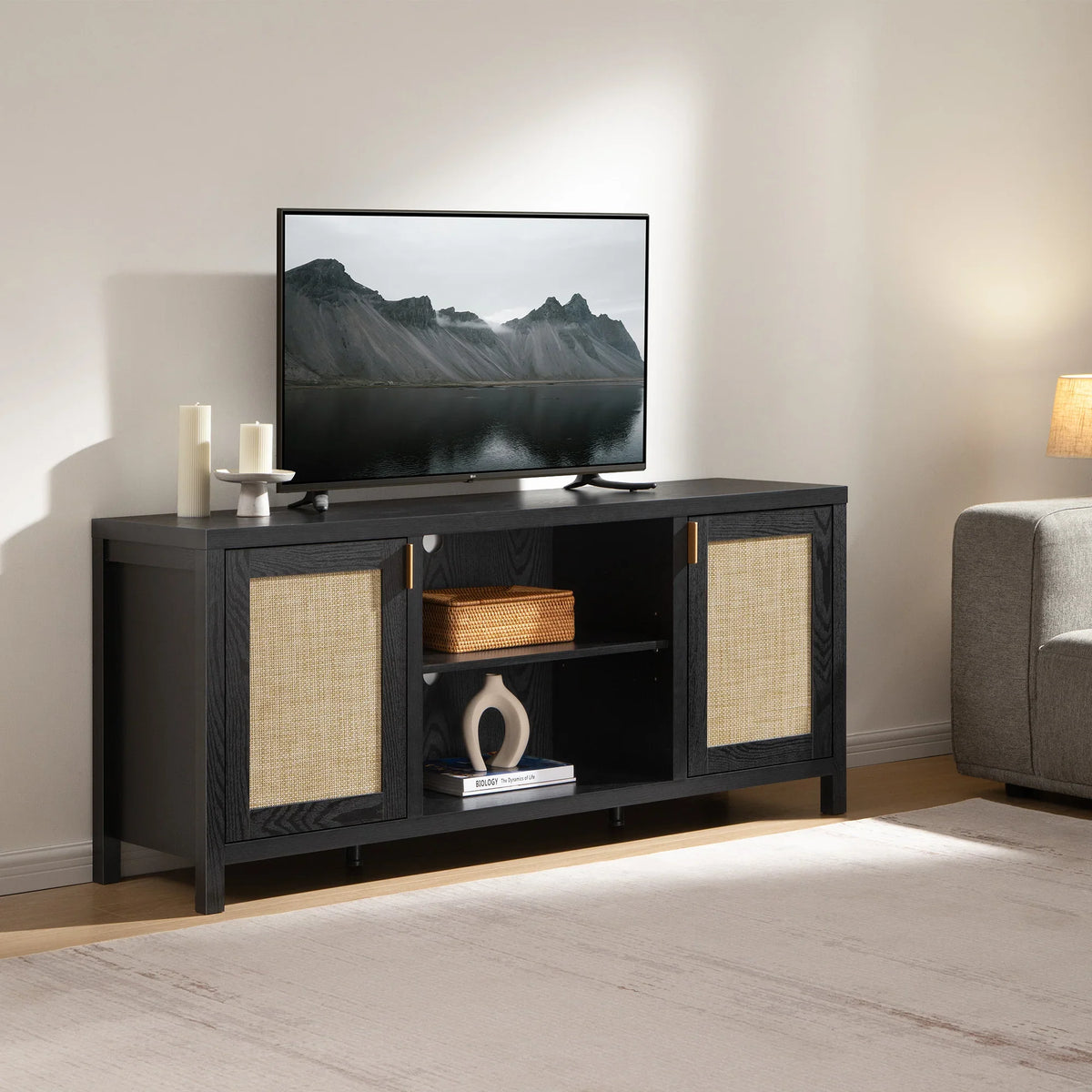 Savanna Black TV Stand