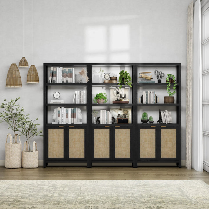 Modern black bookcase with rattan doors, books, plants, and decor in a bright living room