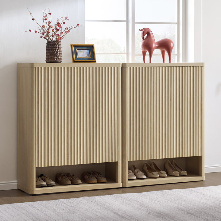 Cas 2-Door Shoe Cabinet, 20 Pairs