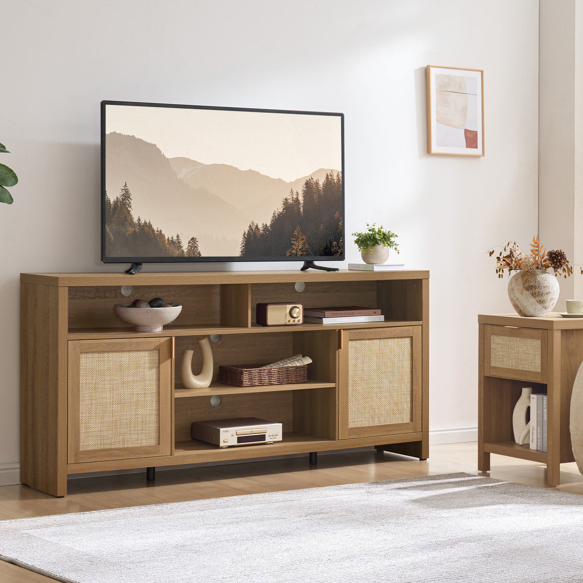 Savanna 65-Inch TV Stand, Flexible Storage