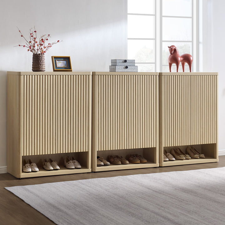 Cas 2-Door Shoe Cabinet, 20 Pairs