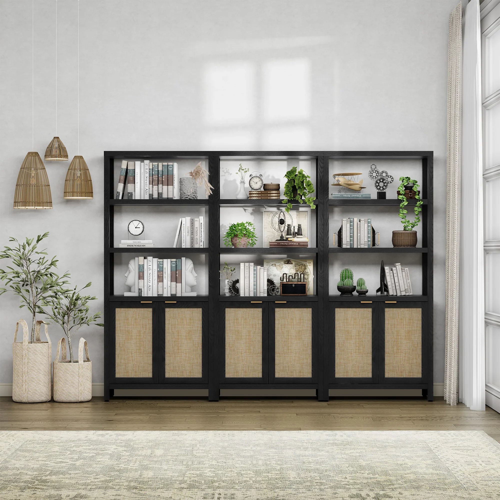 Modern black bookshelf with rattan doors, books, plants, and decor in a bright living room