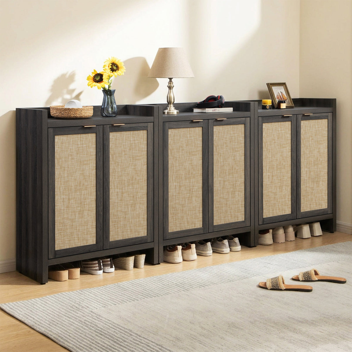 Savanna 2-Door Shoe Storage Cabinet, Set of 3
