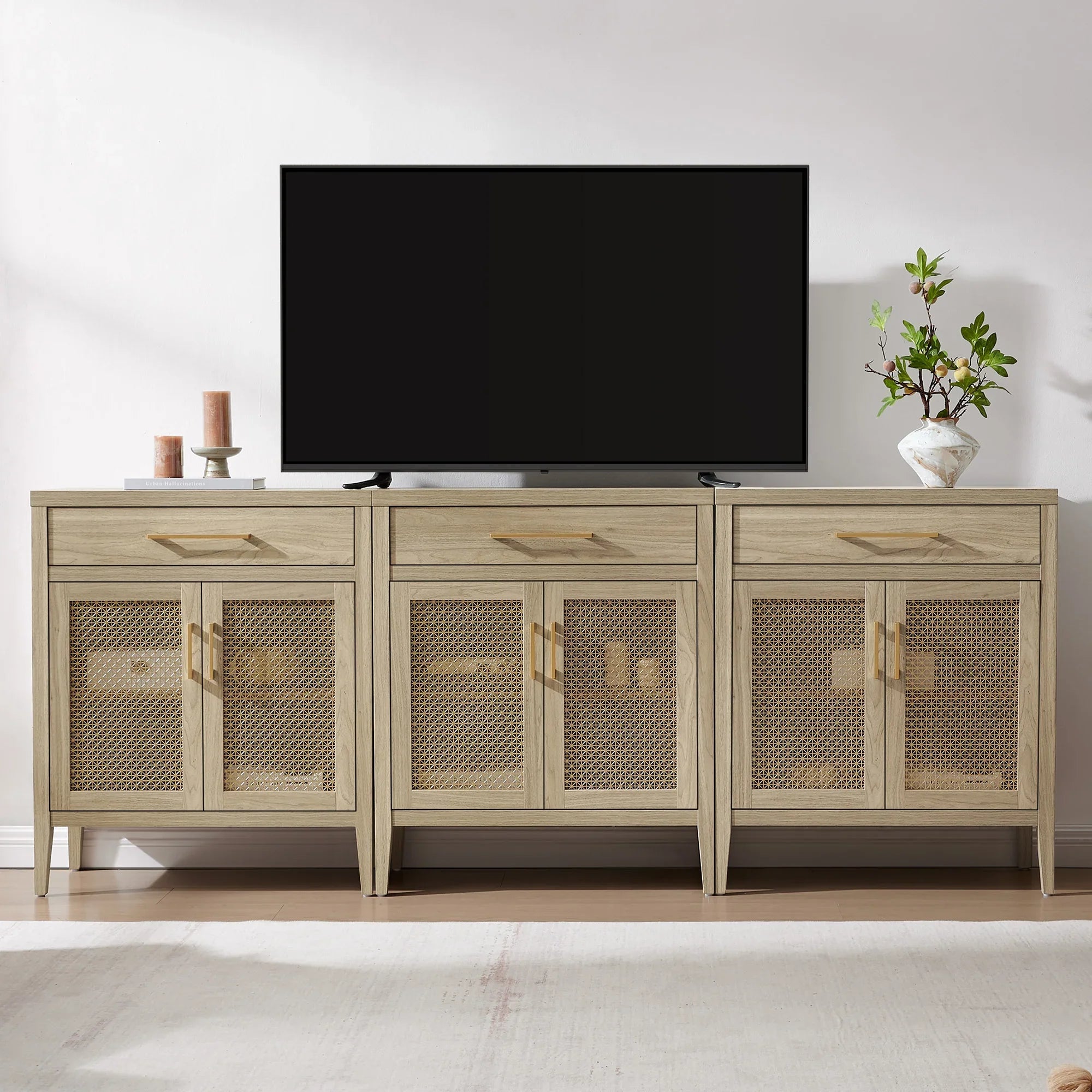 Modern wood TV stand with mesh cabinet doors, neutral decor, and potted plant in living room