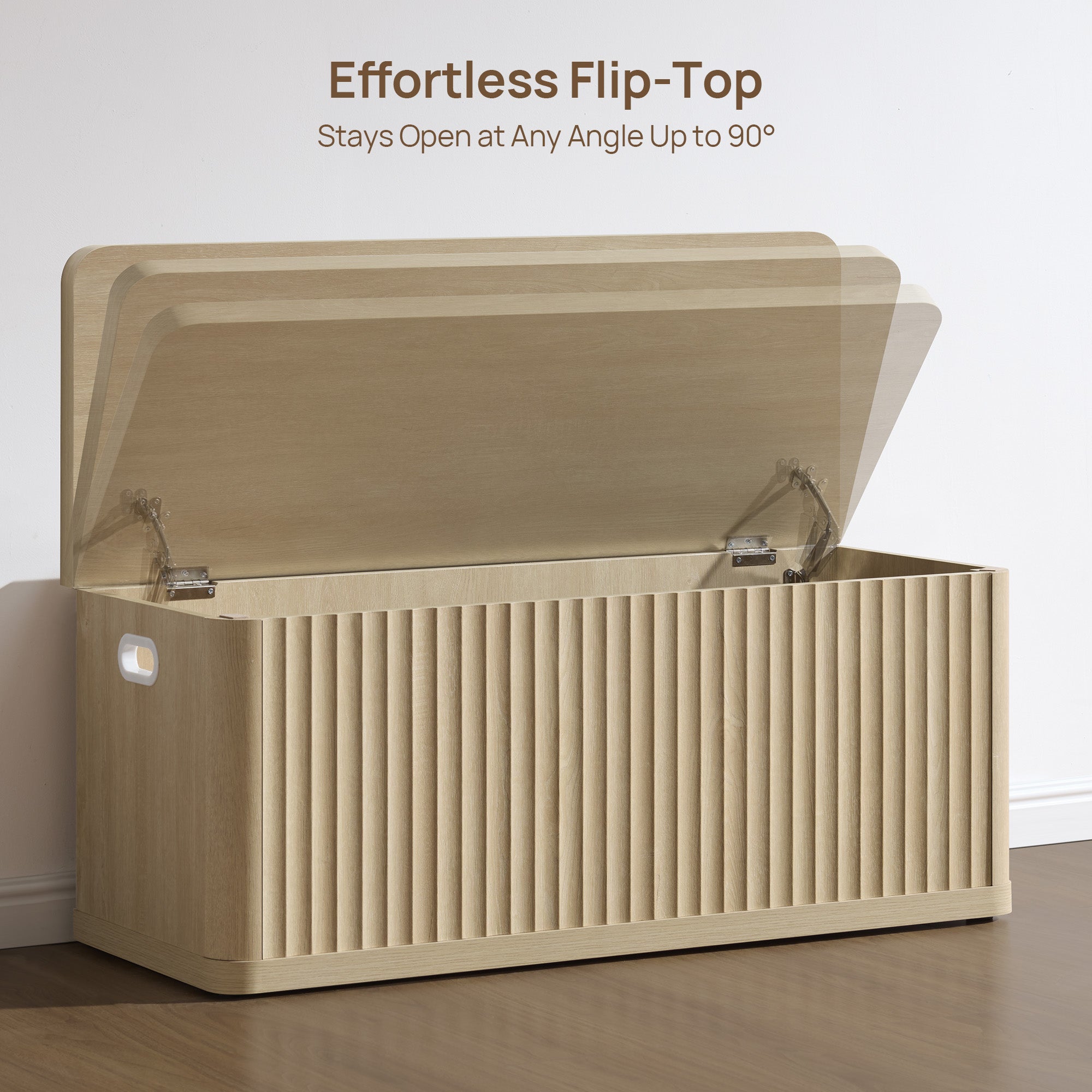 Cas Storage Shoe Bench with Flip-Top Lid