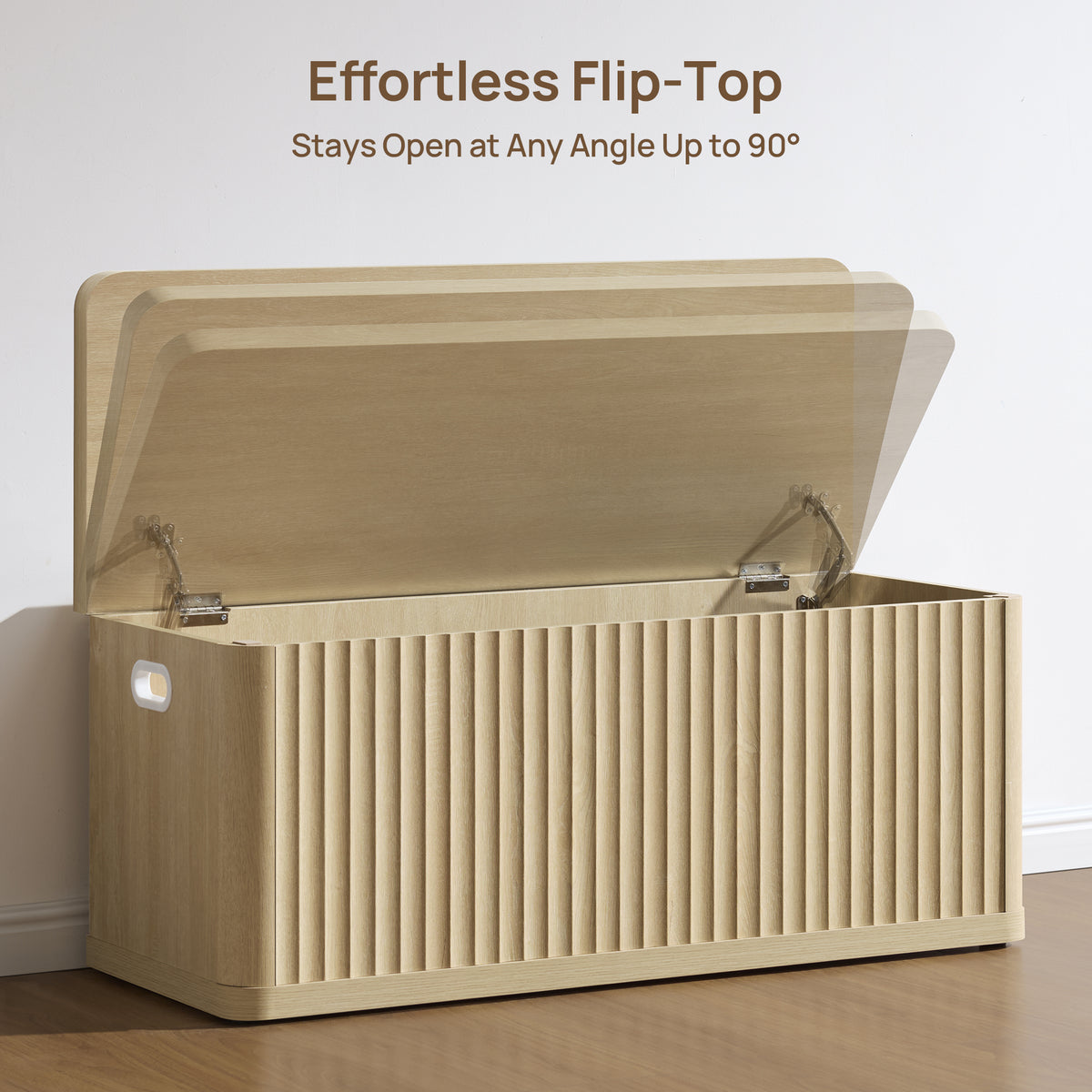 Cas Storage Shoe Bench with Flip-Top Lid