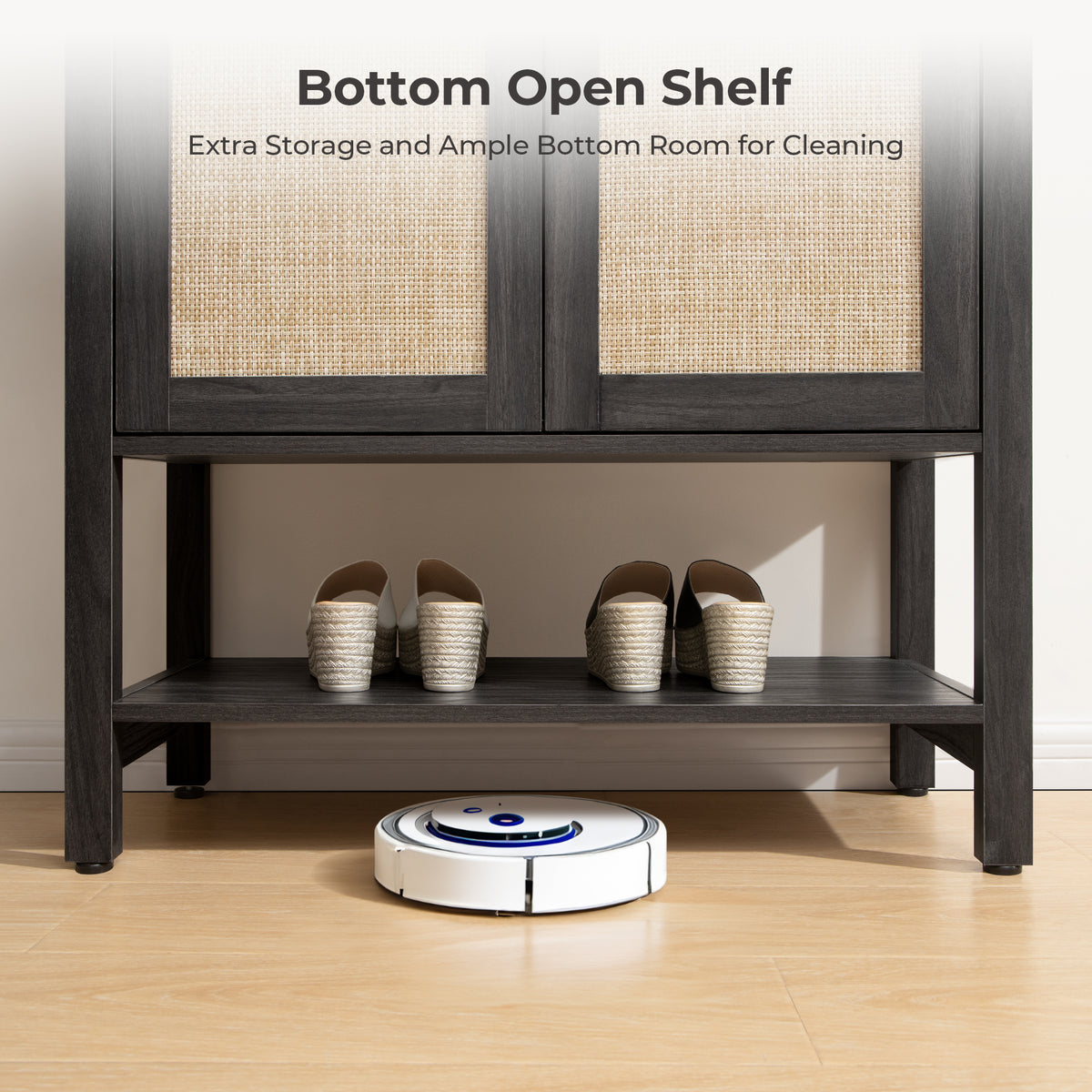 Terra Black Shoe Cabinet, 2 Doors