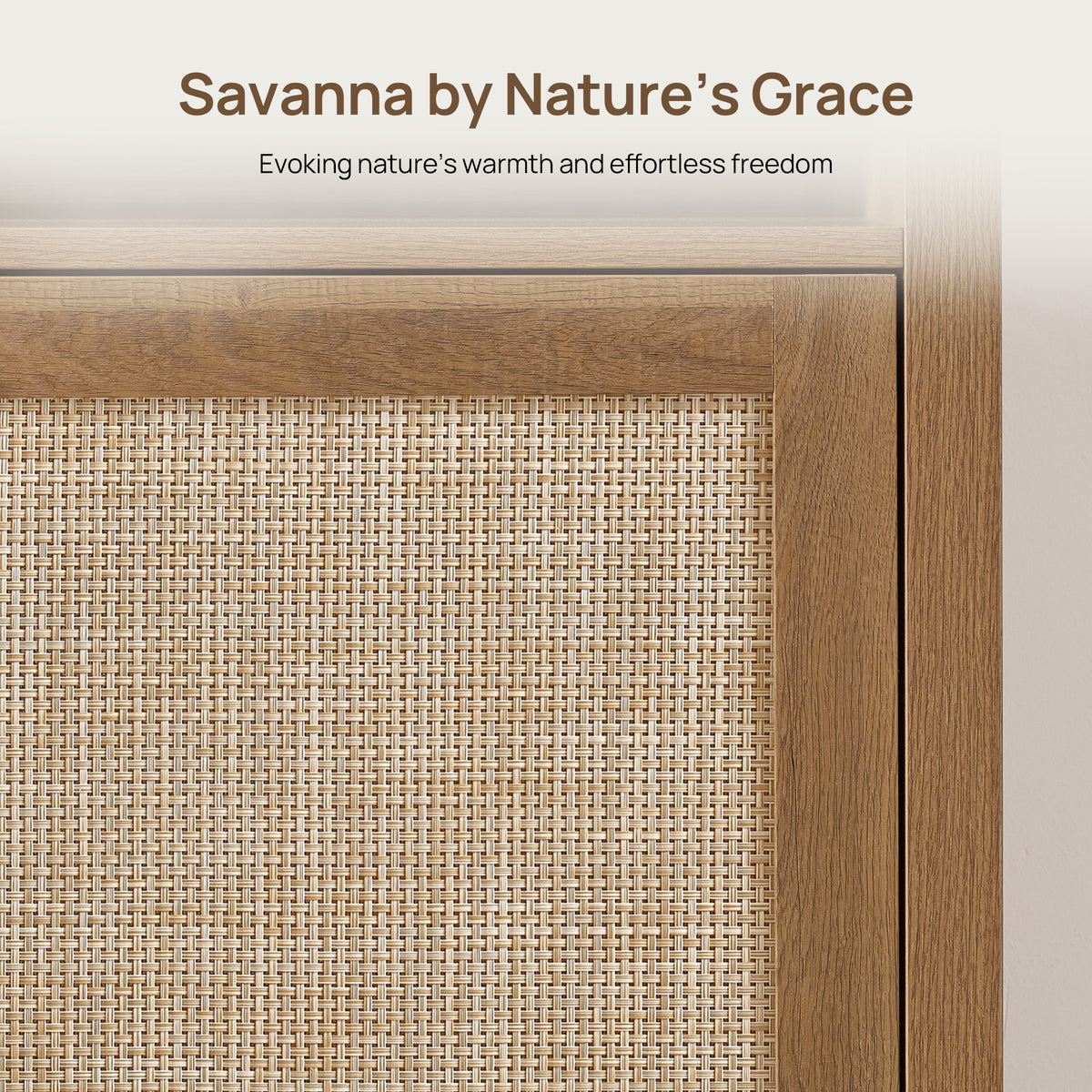Savanna 65-Inch TV Stand, Flexible Storage