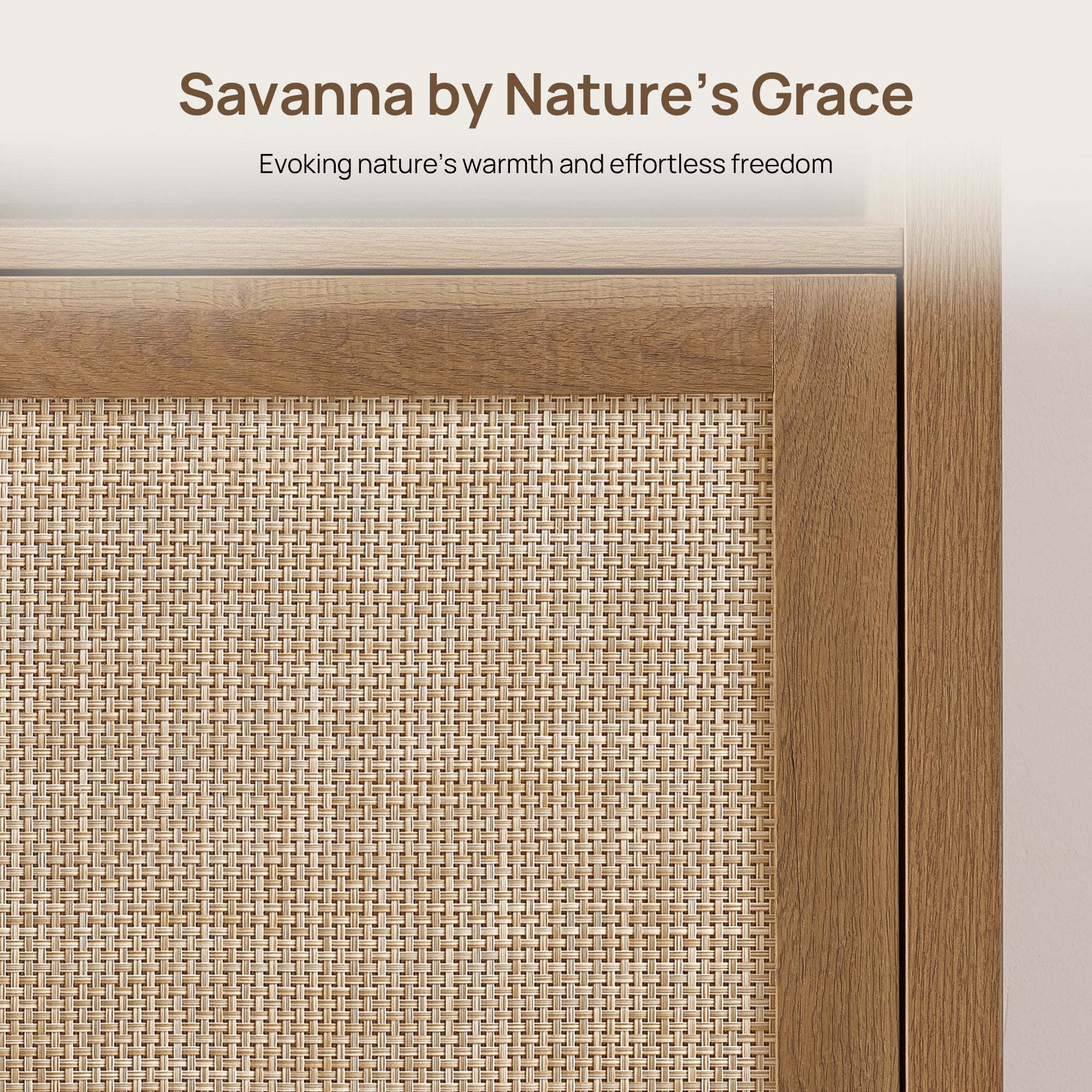 Savanna 65-Inch TV Stand, Flexible Storage