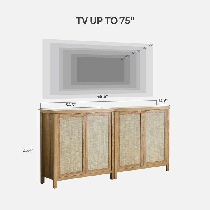 Savanna TV Console with Doors